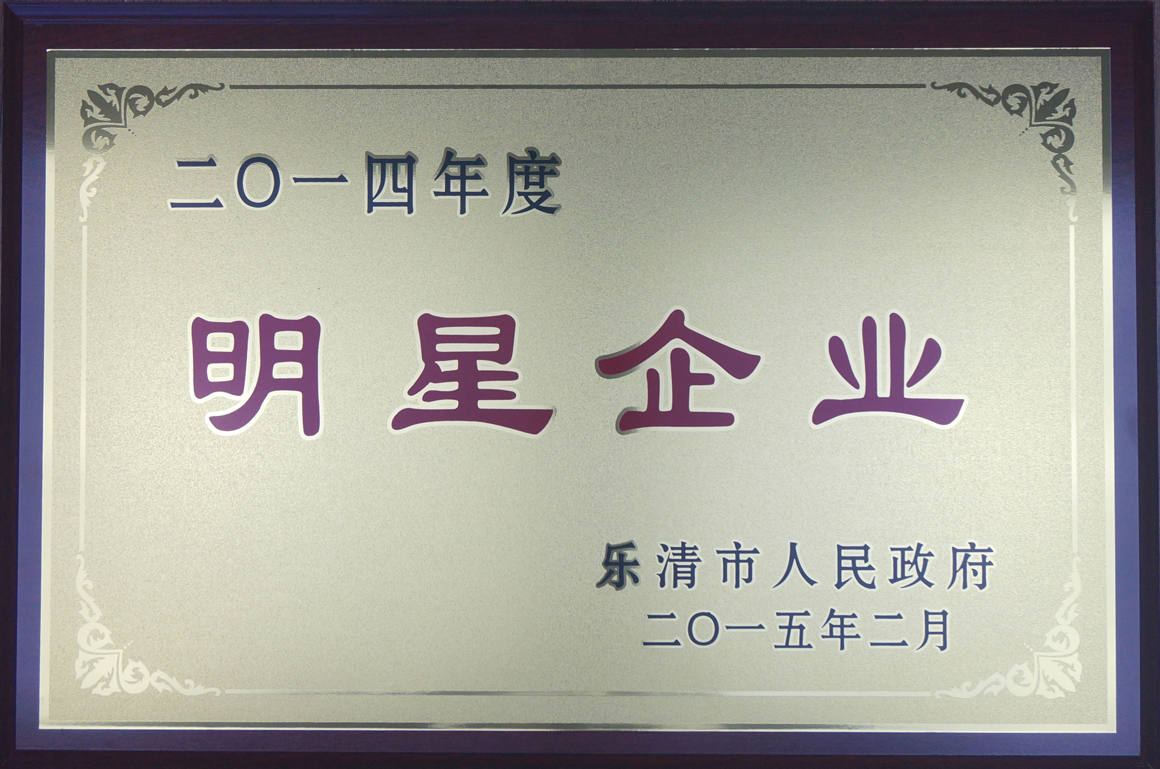 2014年度明星企业