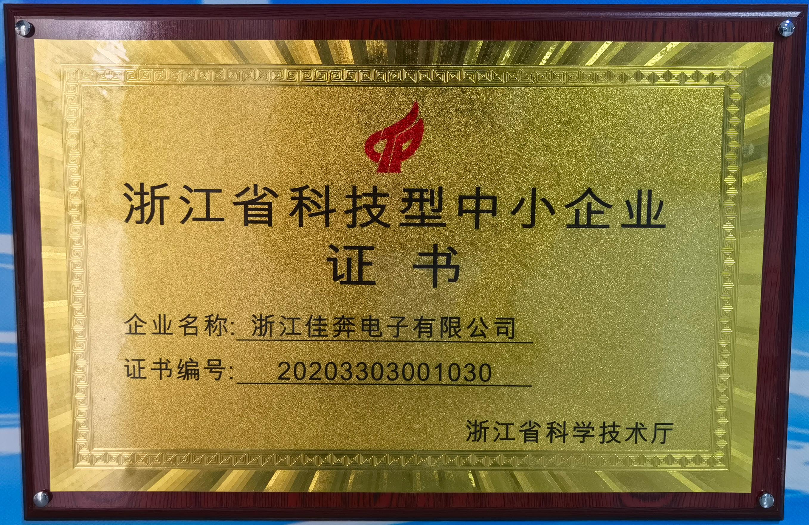 2020年浙江省科技型中小企业