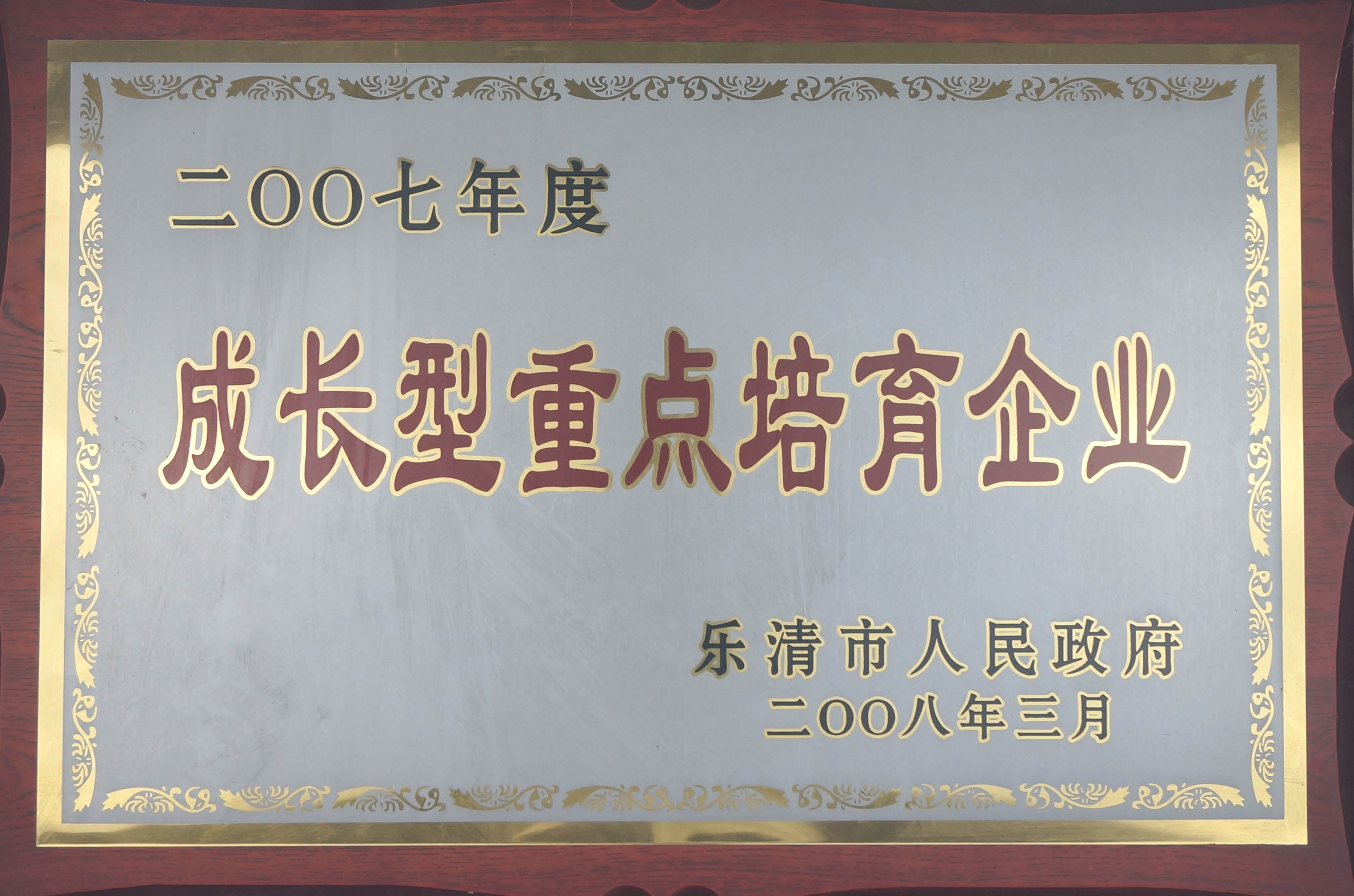 2007年度成长型重点培育企业