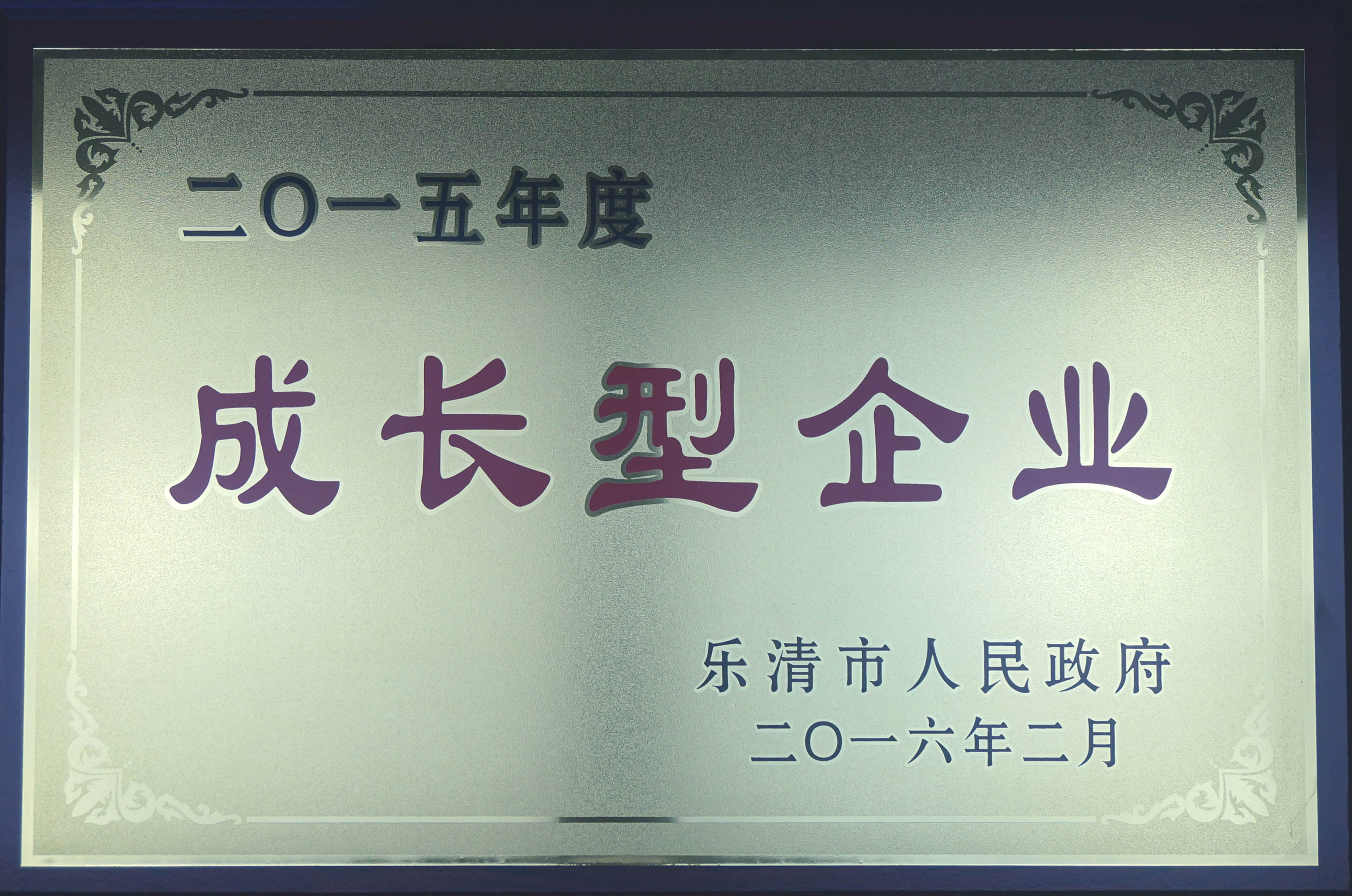 2015年度成长型企业