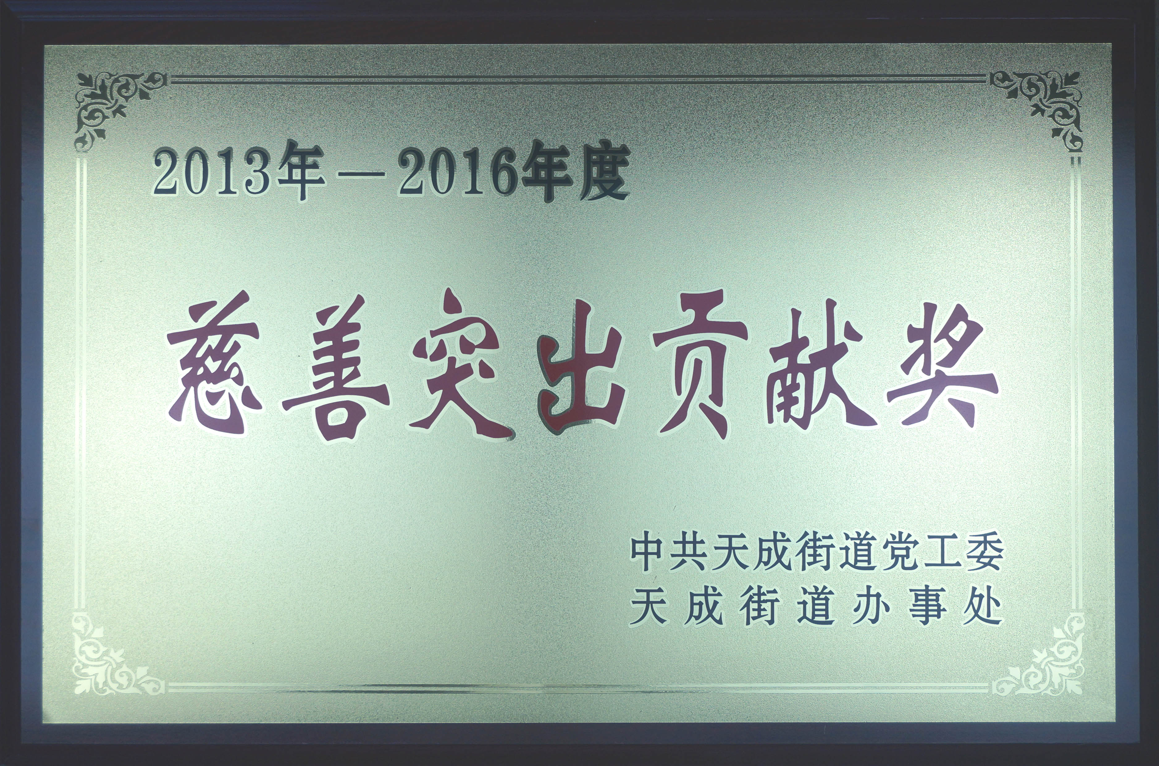 2013-2016年度慈善突出贡献奖