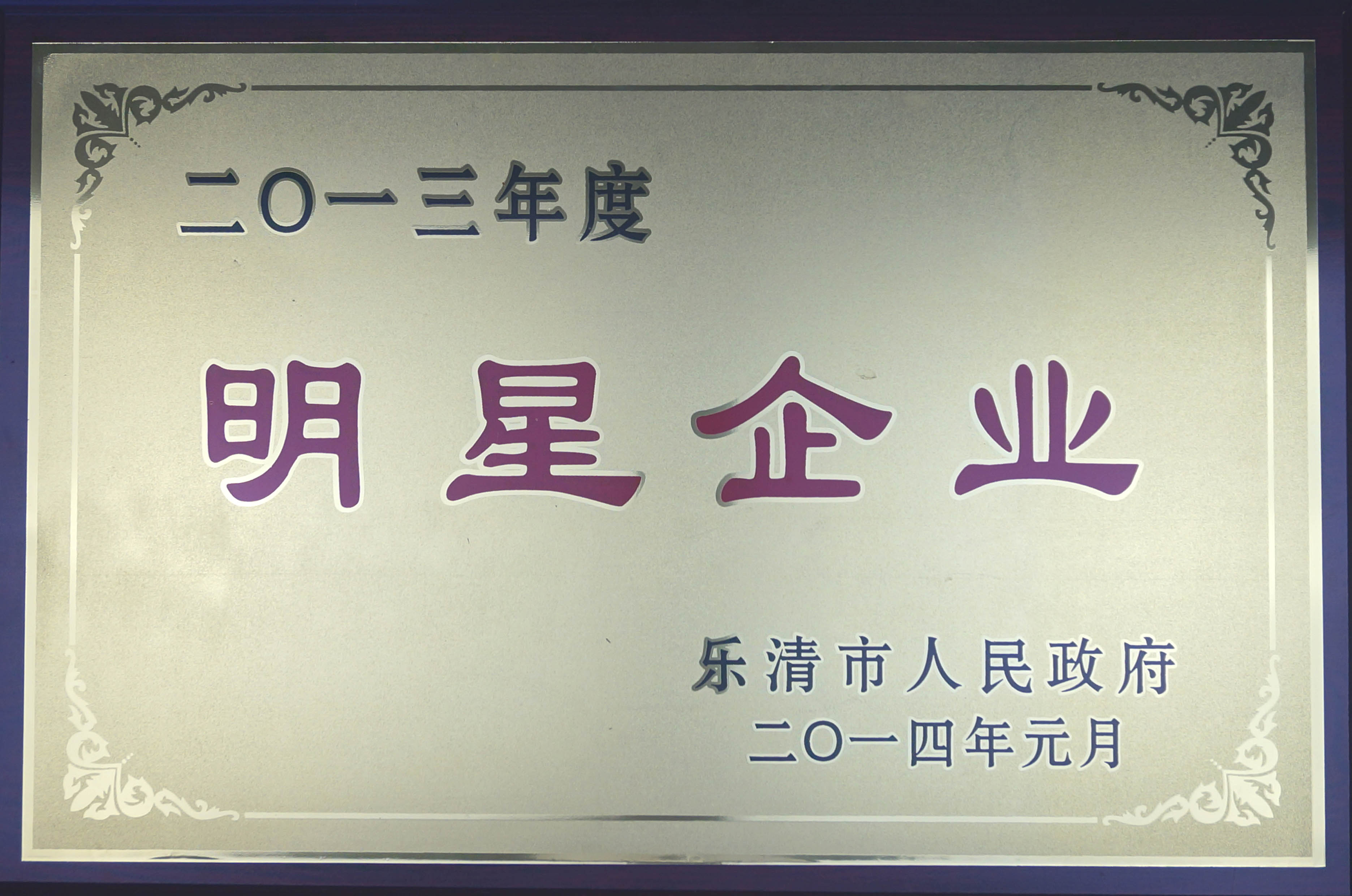 2013年度明星企业